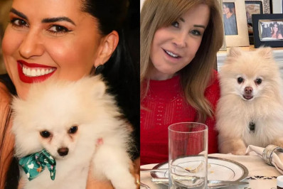 Após mostrar novo pet, web diz que Graciele Lacerda copiou Zilu: 'Até cachorro igual quer ter'