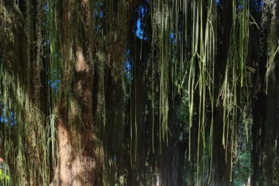 Jovem tetra-amputado se forma em Direito e é primeiro da família com ensino superior