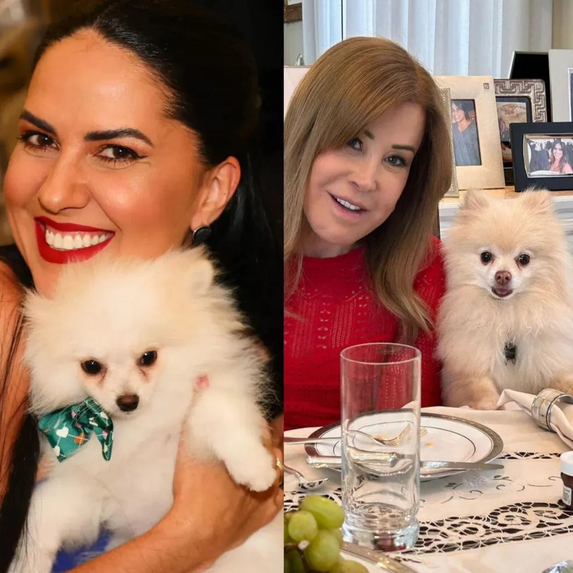 Graciele Lacerda mostrou cachorro semelhante ao de Zilu - Reprodução / Instagram