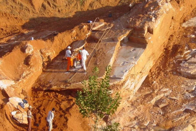 Nova espécie de dinossauro que habitava o interior de SP é descoberta