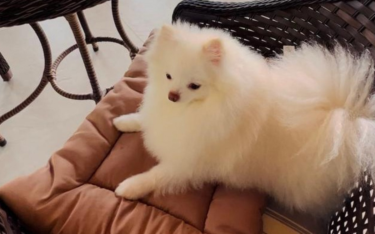 Maggie está há três anos com a família e é considerada como uma filha por sua tutora