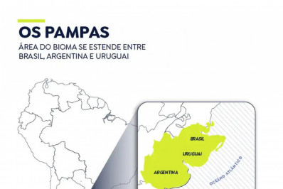Pampa Sul-Americano perdeu 20% de vegetação campestre, diz MapBiomas