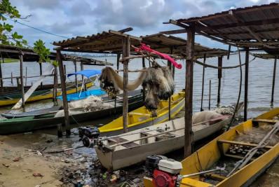 Peixe na água e rede vazia: desastre da Braskem atinge pescadores