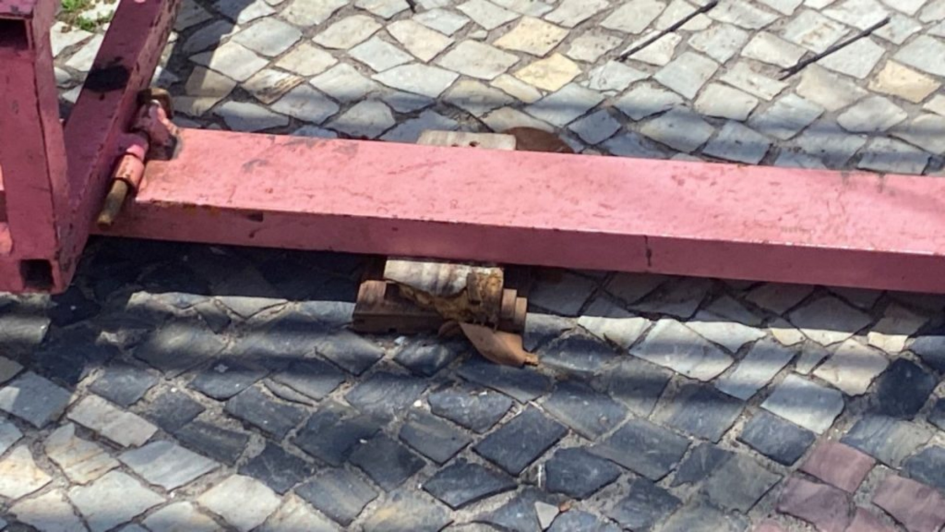 Parque na pra&ccedil;a do Moinho  - Divulga&ccedil;&atilde;o 