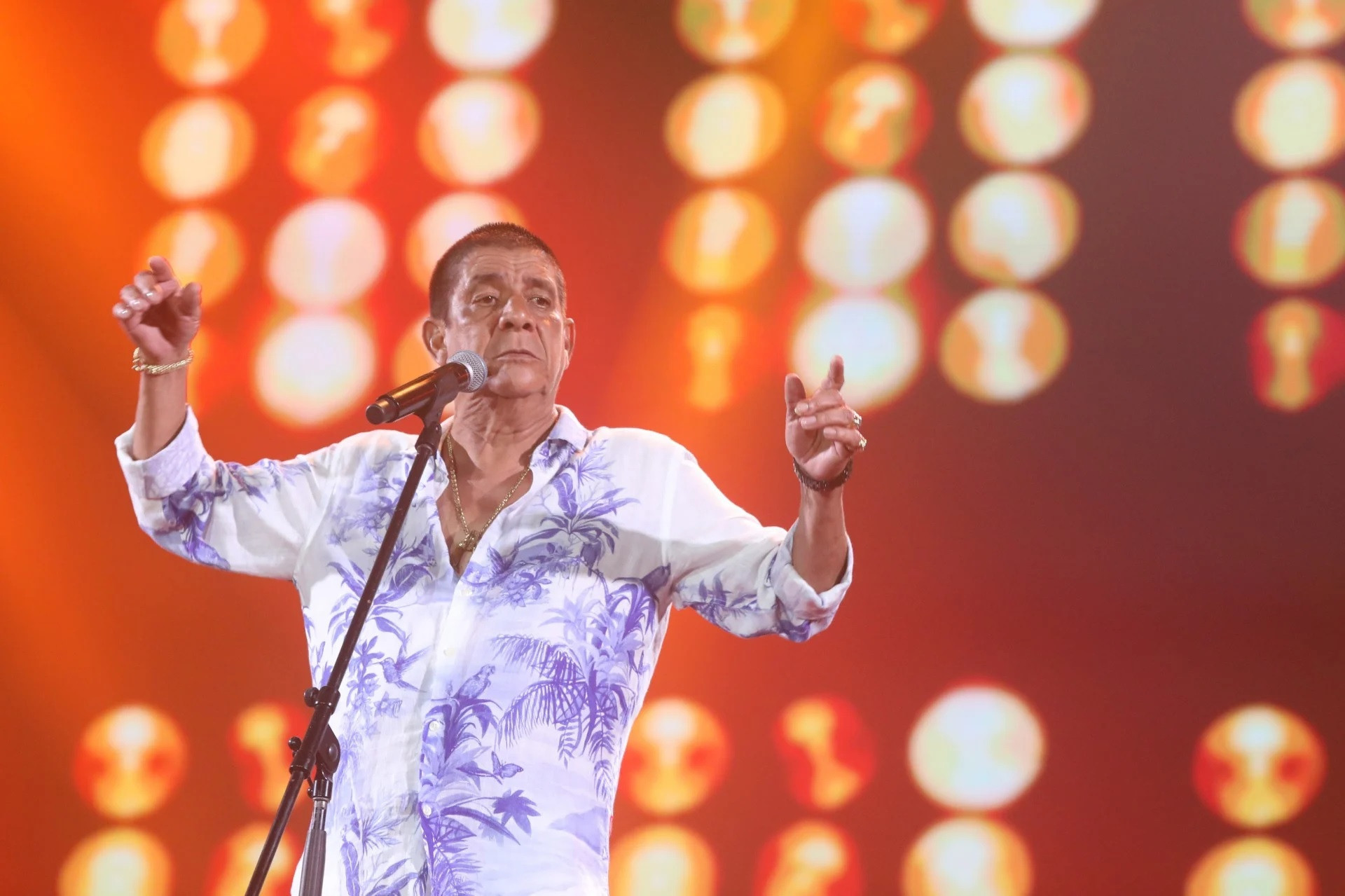 Zeca Pagodinho - Pedro Ivo