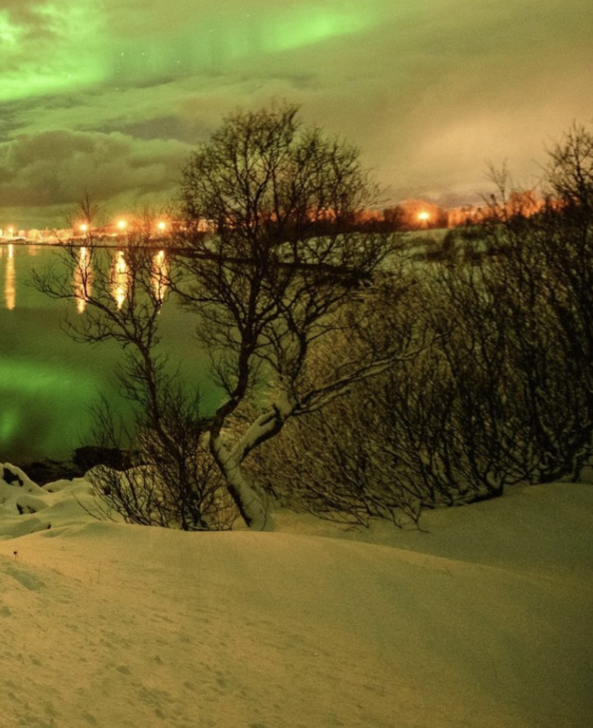 Ana Furtado realiza sonho de ver aurora boreal pessoalmente, na Noruega - Reprodução / Instagram