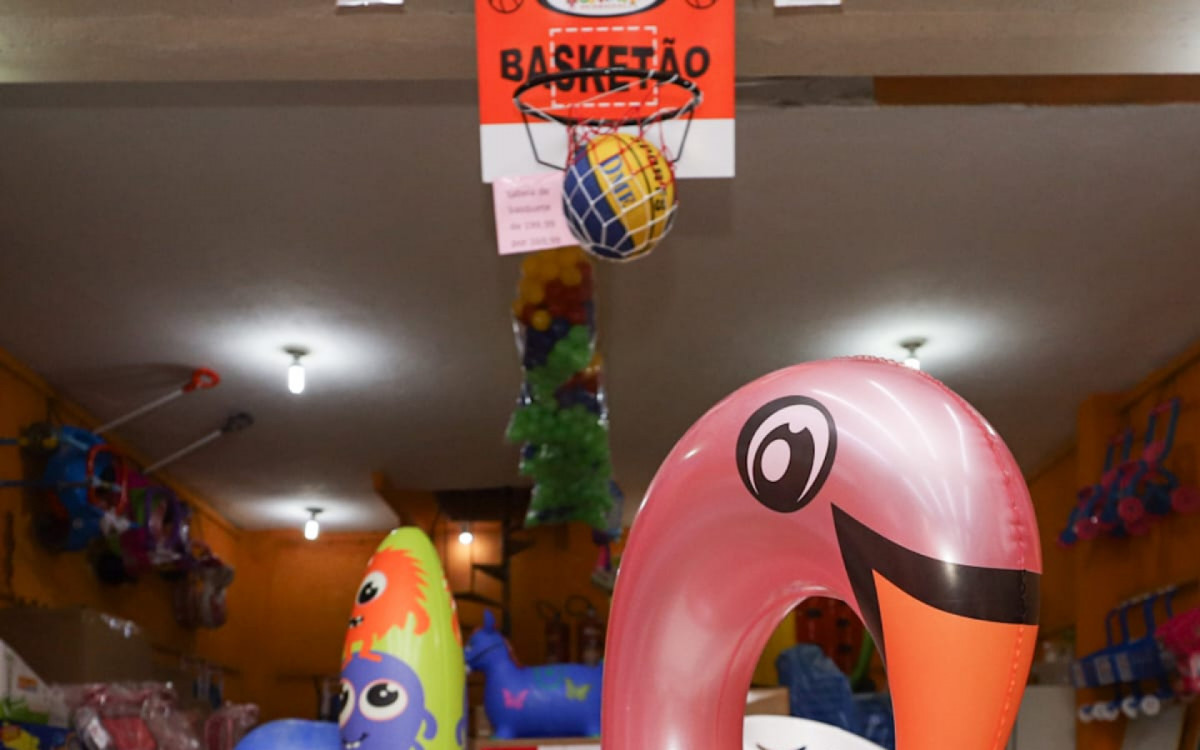 Boia de cisne, por R$ 119,90, na loja Armarinho Santex - Renan Areias / Agência O Dia