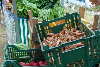 Saquarema terá feira agroecológica neste sábado 