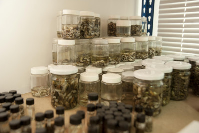 Projeto Lagoa Viva participa do Espraiado de Portas Abertas neste domingo