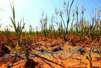 Mudança climática ameaça agricultura no mundo todo