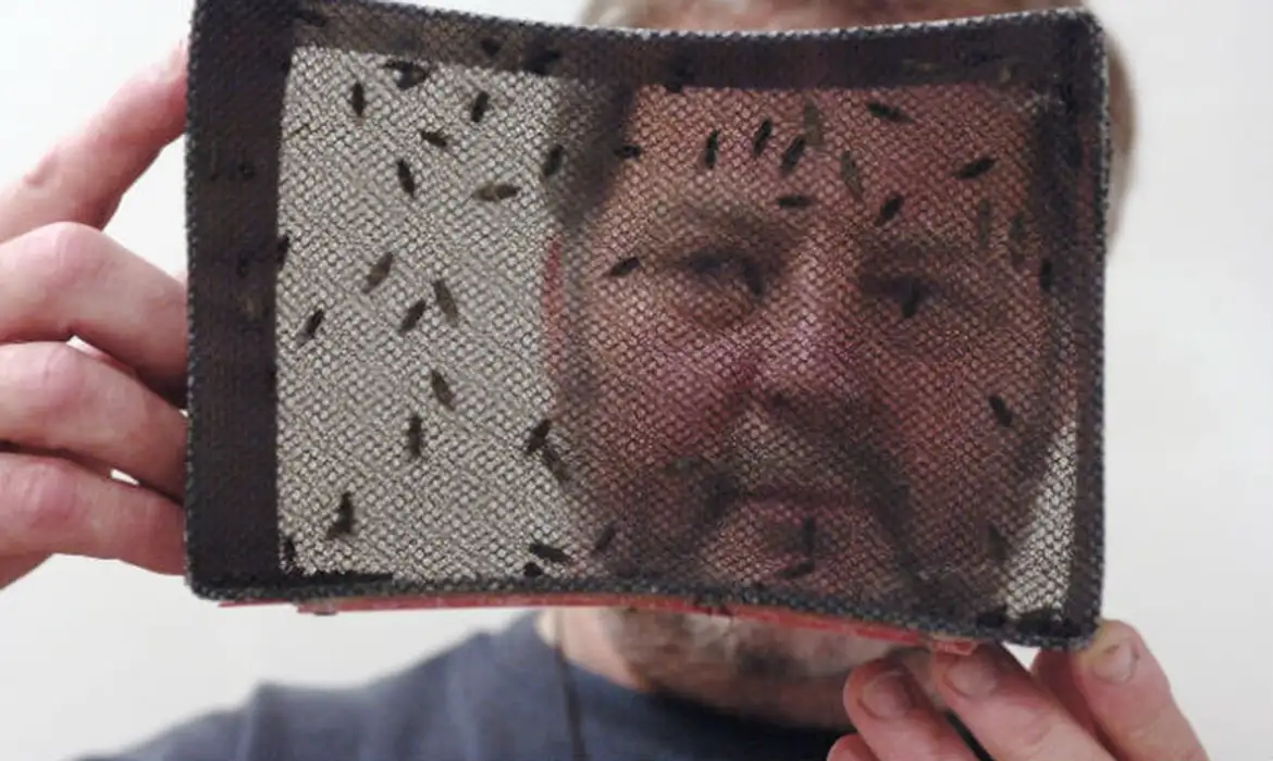 Butantan anuncia teste pré-clínico de vacina contra Zika em 2024