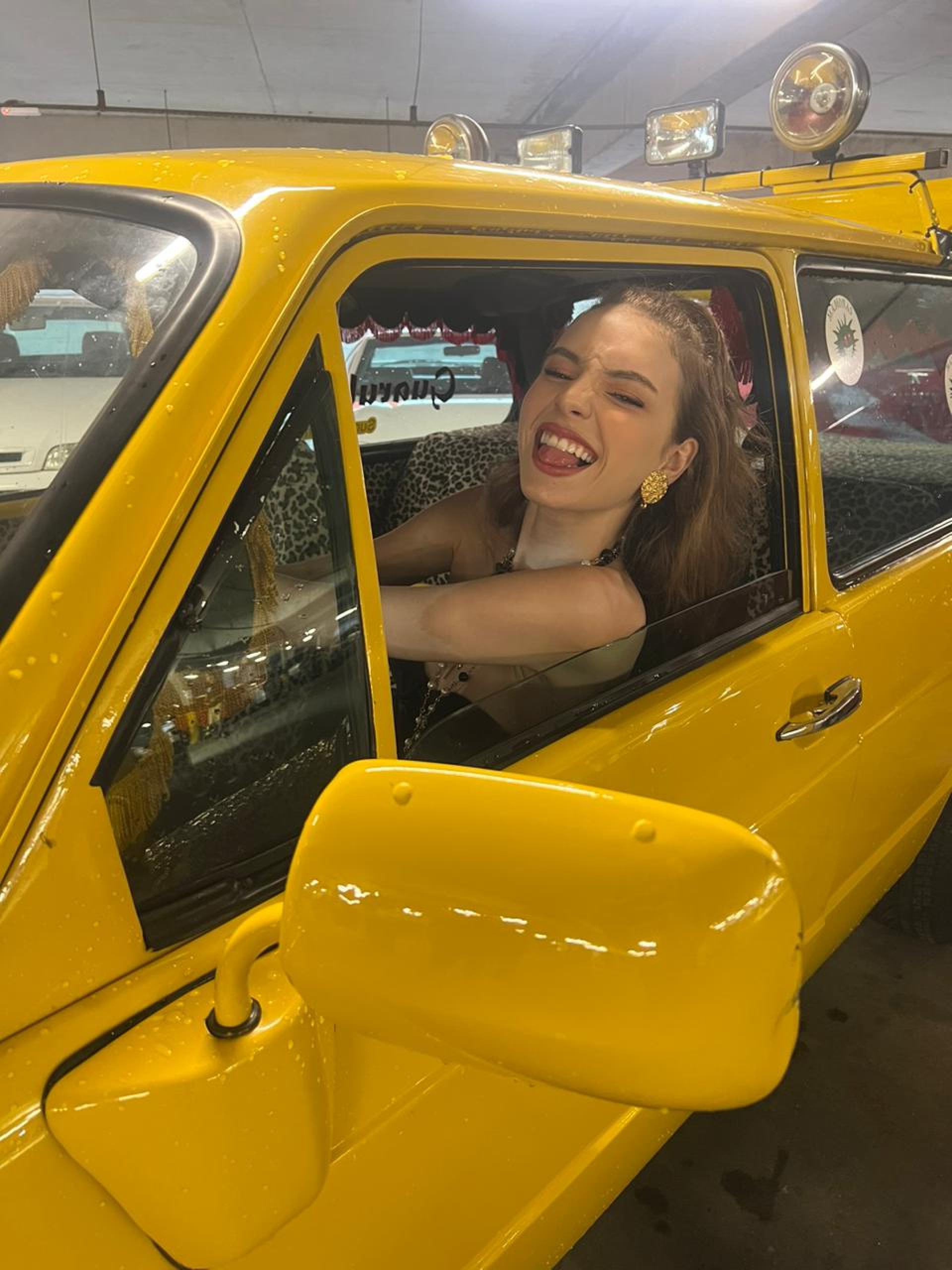 Fefe na Brasília amarela  - Divulgação