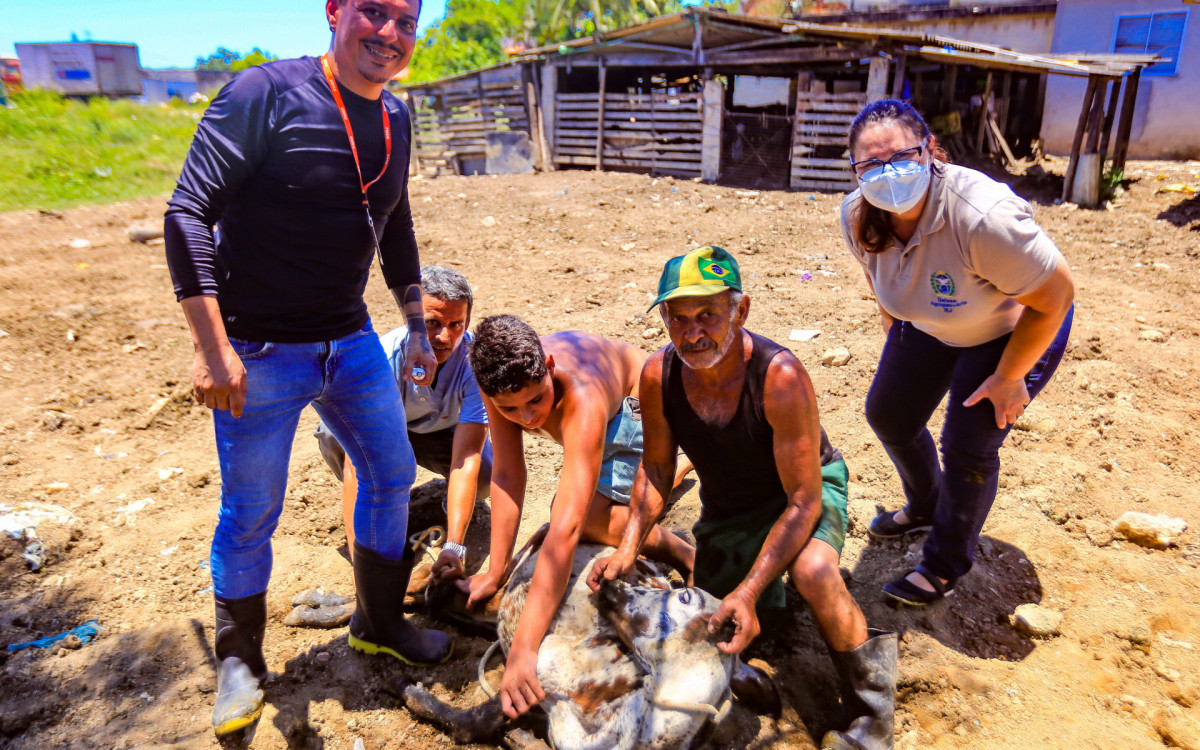 José Jeremias, 68 anos, disse que todo ano ele vai em busca da equipe para aplicar as vacinas nos seus animais