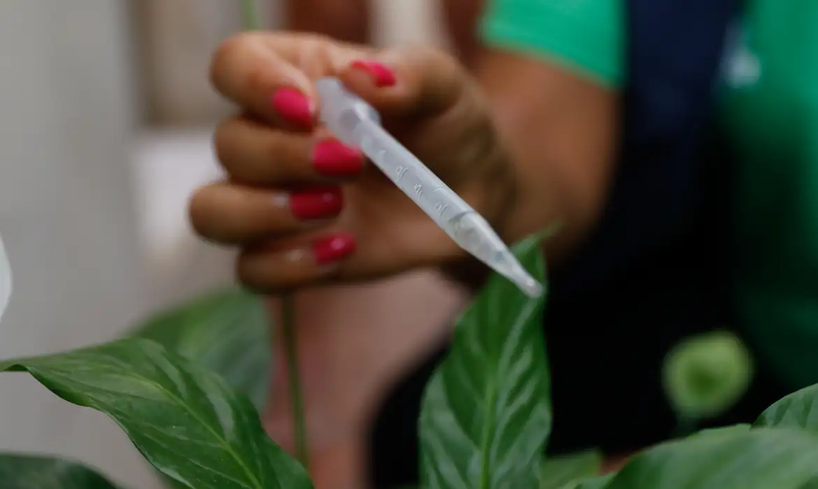 Incorporação de vacina contra dengue ao SUS deve sair ainda em 2023