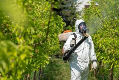 Registro de novos agrotóxicos segue em alta no Brasil, diz Mapa