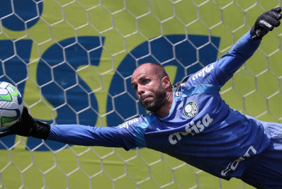 Ex-goleiro do Flamengo quer deixar o Palmeiras e se transferir para o Fluminense