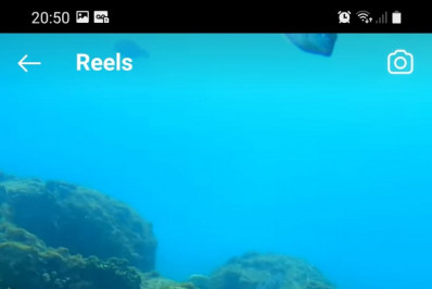 Aruanã tem a maioria dos registros de tartarugas marinhas em Niterói