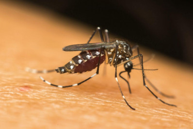 Prefeitura de Caxias fará entrega de motos fumacê contra dengue