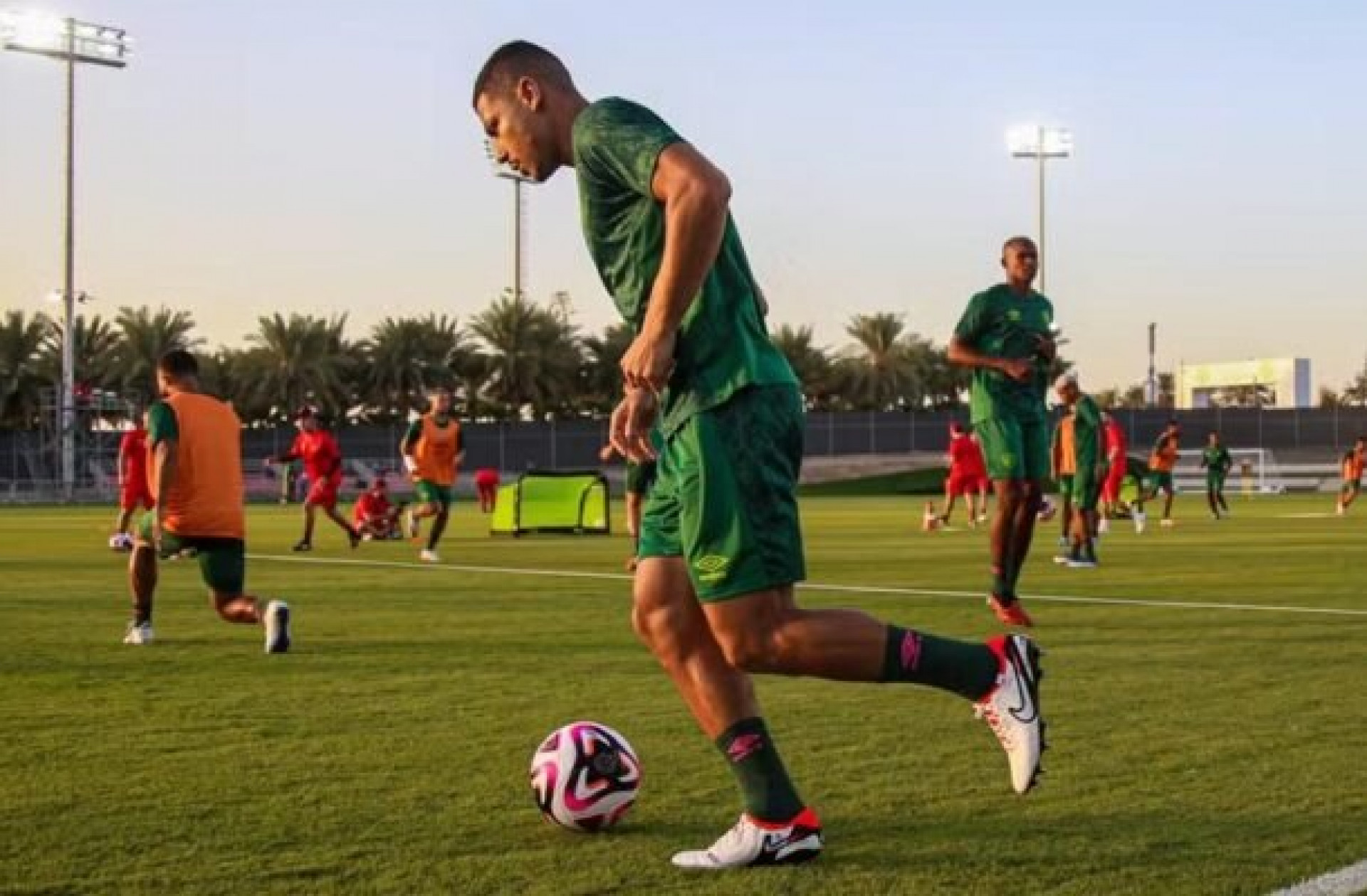 Copa Rio 1952: Relembre o título que o Fluminense busca reconhecer