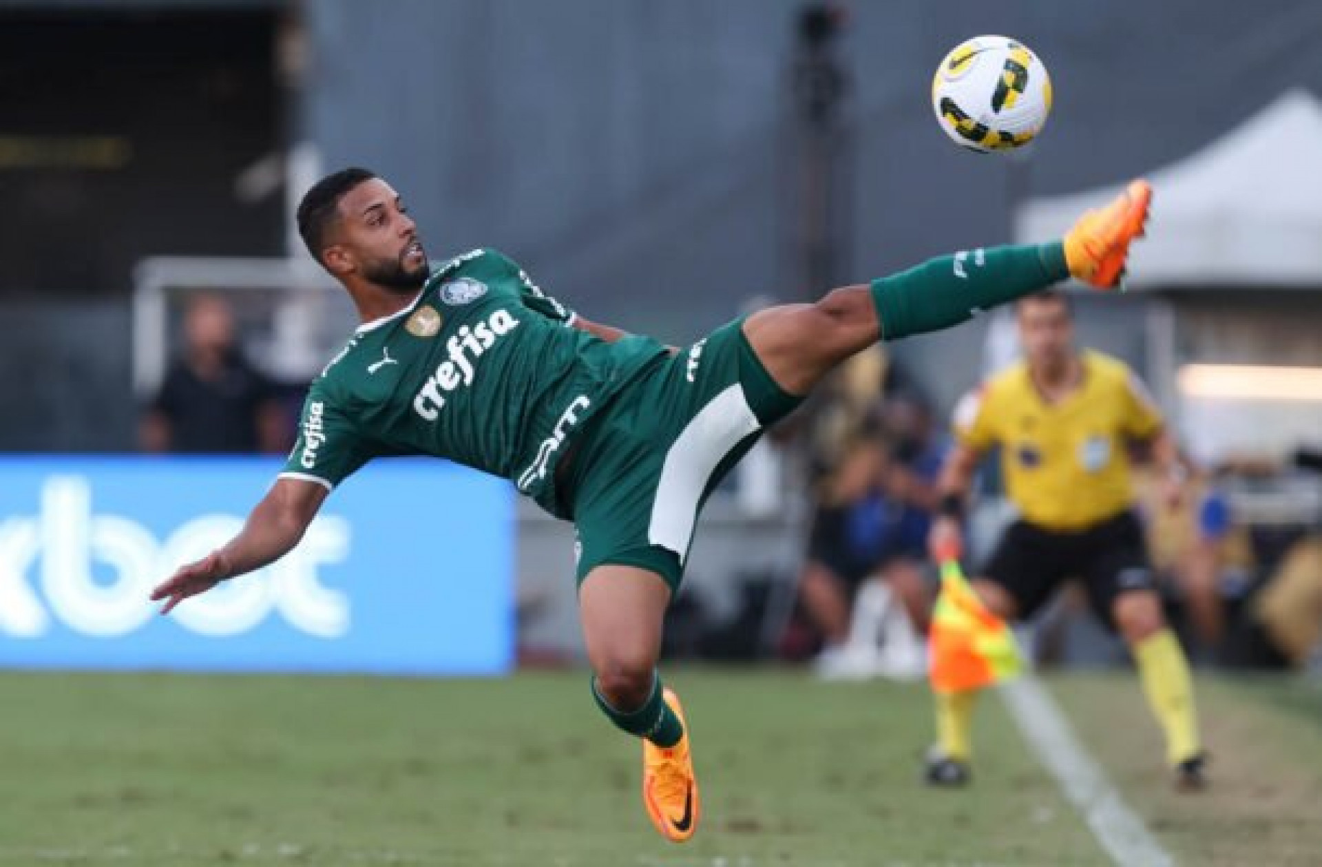 Palmeiras Tem Mundial???. ., by Mathew R Dos Santos