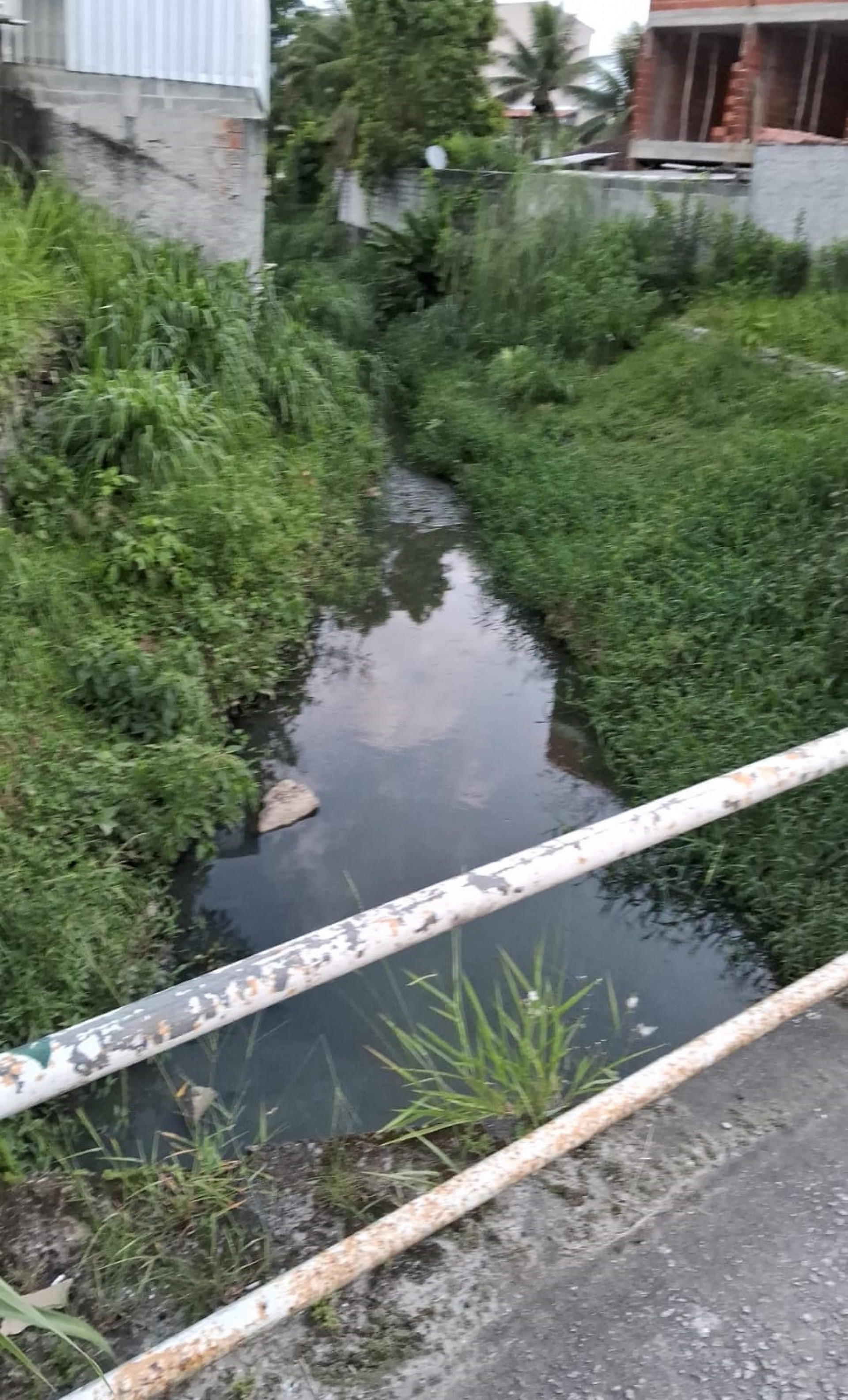 Vala aberta com água escura e mau cheiro provoca nuvem de mosquito em Jacuecanga. Moradores temem a Dengue