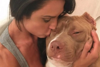 Gracyanne Barbosa lamenta morte do cachorro, Thor, e recebe apoio de amigos famosos