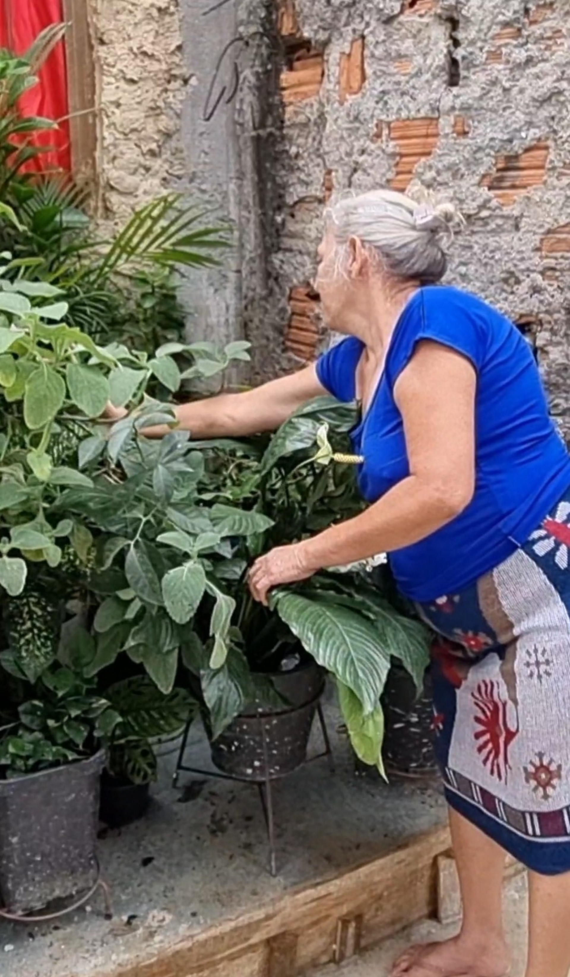 DEPOIS: onde corria esgoto, ela p&ocirc;de plantar um jardim - Divulga&ccedil;&atilde;o/ Rafael Casado