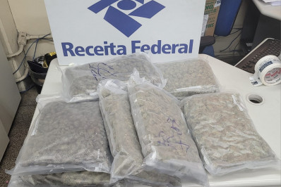 Receita Federal apreende quase R$ 290 mil em skunk no Galeão
