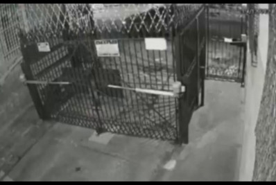 Vídeo mostra momento em que criminosos executam auditor na Zona Norte