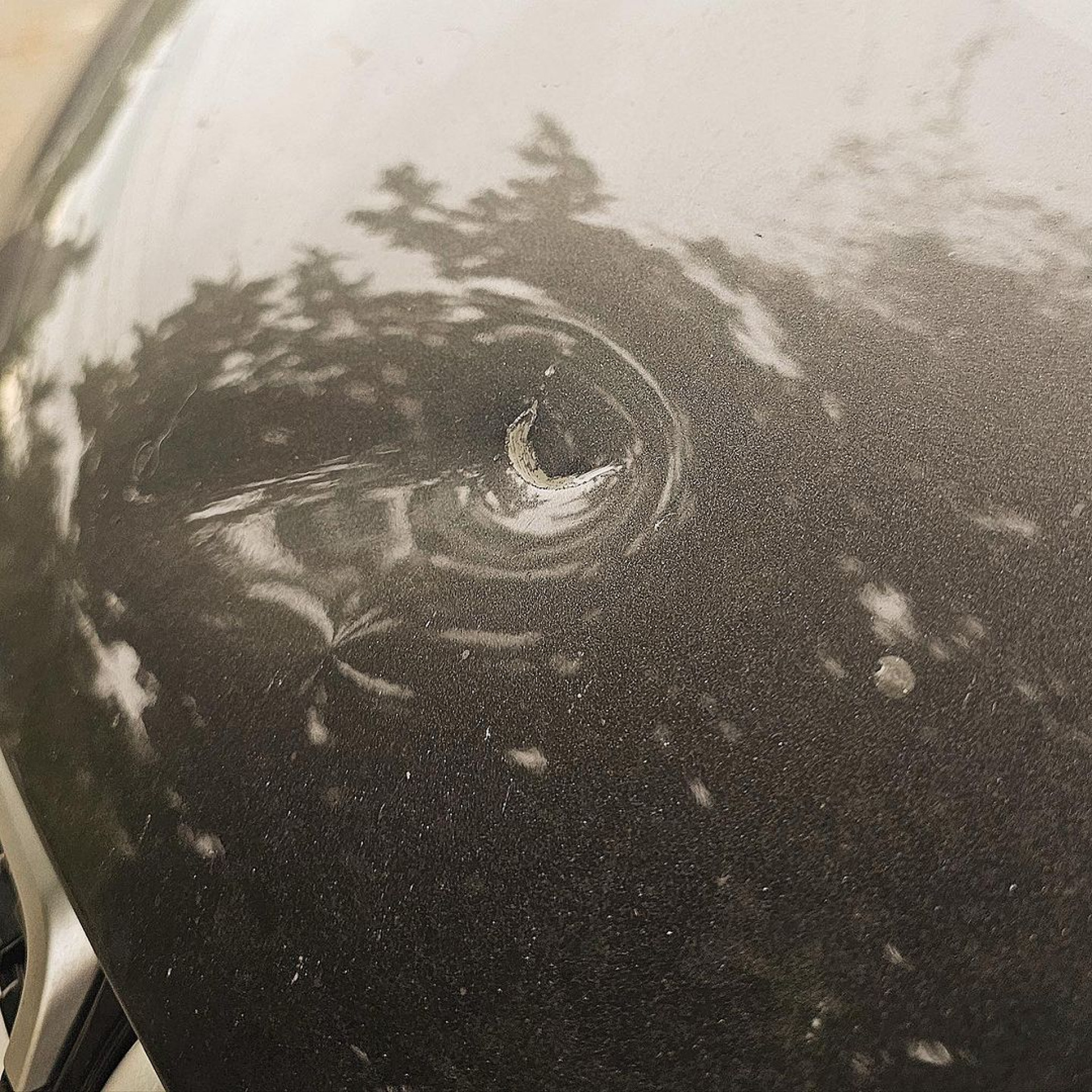 Criminosos atiraram contra o carro da deputada estadual Giselle Monteiro