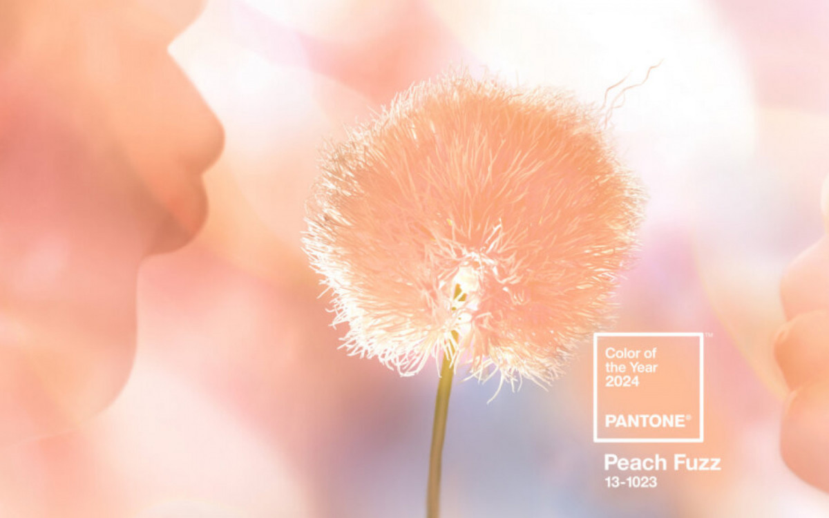 Cor Pantone 2024: Como usar Peach Fuzz no Feng Shui para potencializar energias