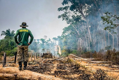 Desmatamento na Amazônia registra maior queda do ano em novembro. aponta levantamento