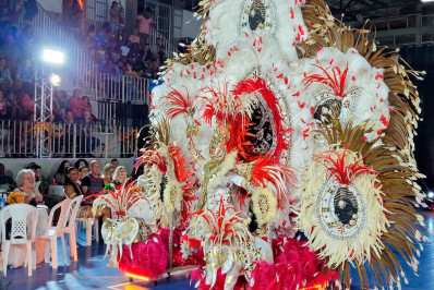 Abertas as inscrições para concurso de fantasias da Liga das Escolas de Samba de Friburgo