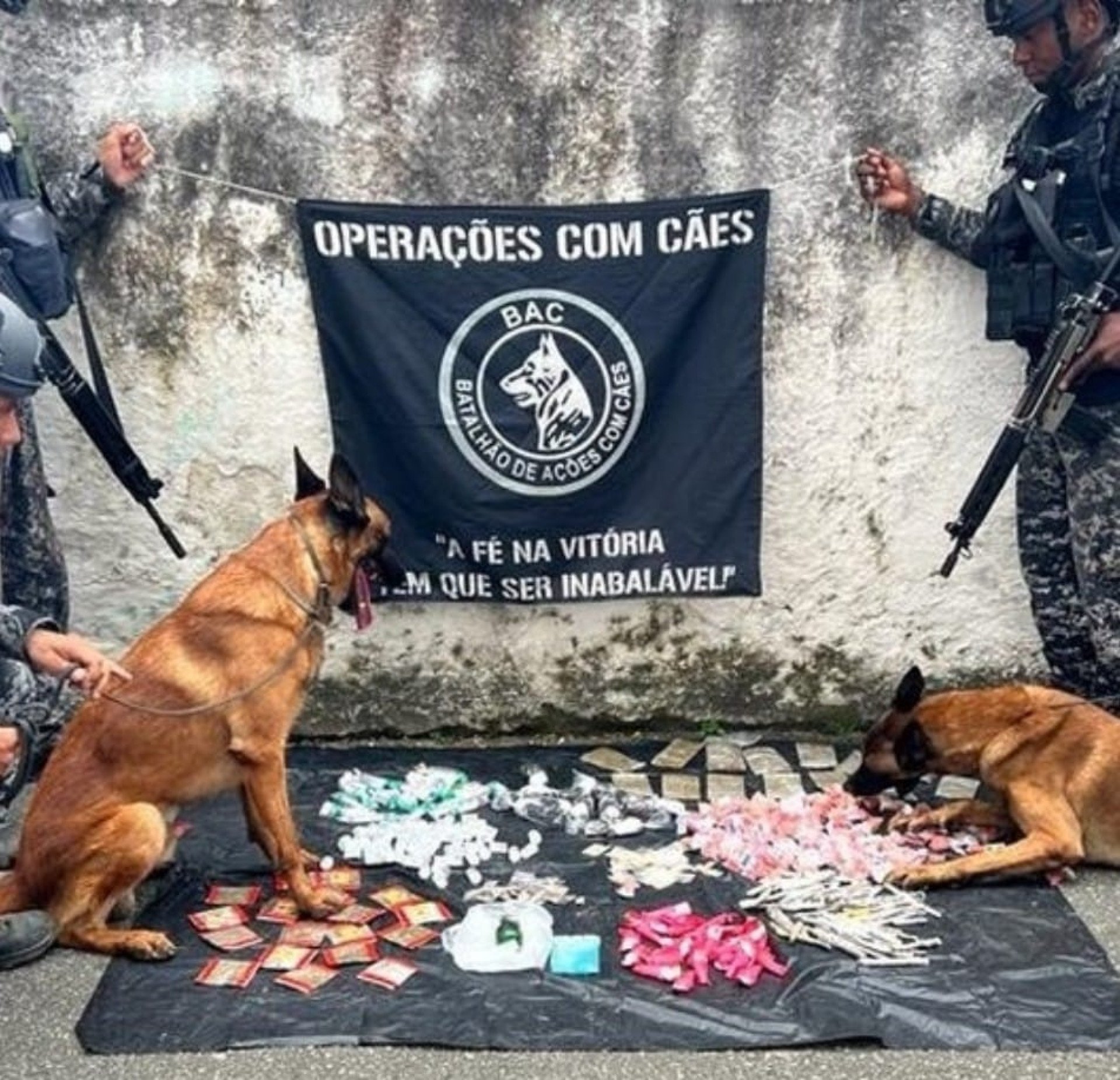 Drogas apreendidas no Morro da Glória 1. Traficantes fugiram para área de mata, ninguém foi preso - Divulgação/PM