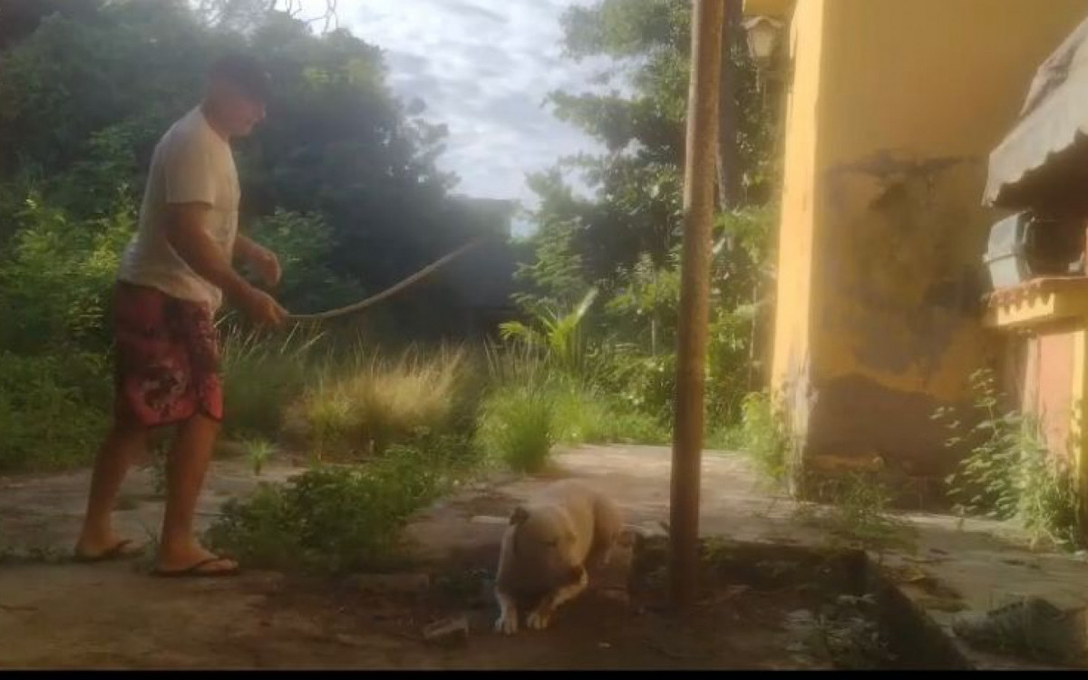 Clovis Silveira Paes se filmou agredindo o próprio cachorro - Reprodução