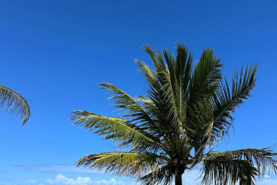 O segredo do corpão de Sheron Menezzes