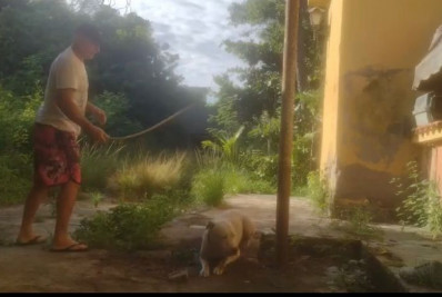 'Atire a primeira pedra quem nunca deu tapa no seu cachorro', diz eletricista que espancou cão