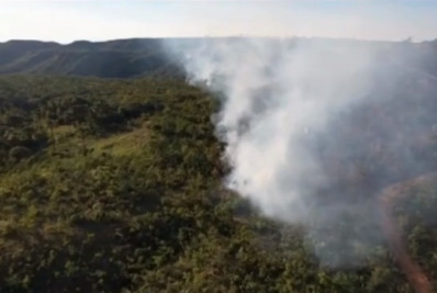 Incêndio atinge divisa do Santuário de Elefantes em Mato Grosso