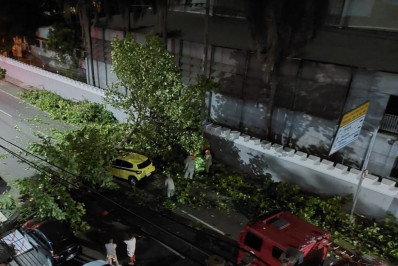 Árvore cai em cima de táxi na Tijuca