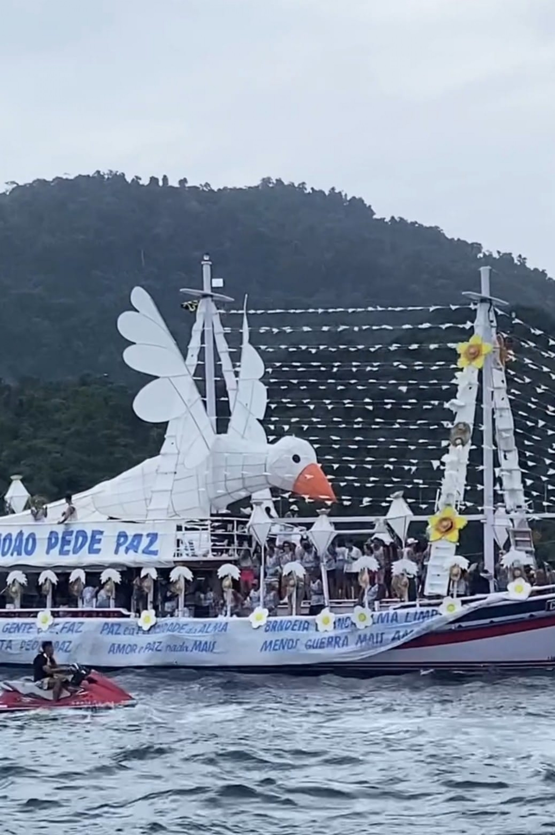 Pomba da paz rouba o cen&aacute;rio no primeiro dia do ano no mar de Angra - Divulga&ccedil;&atilde;o/reprodu&ccedil;&atilde;o rede social
