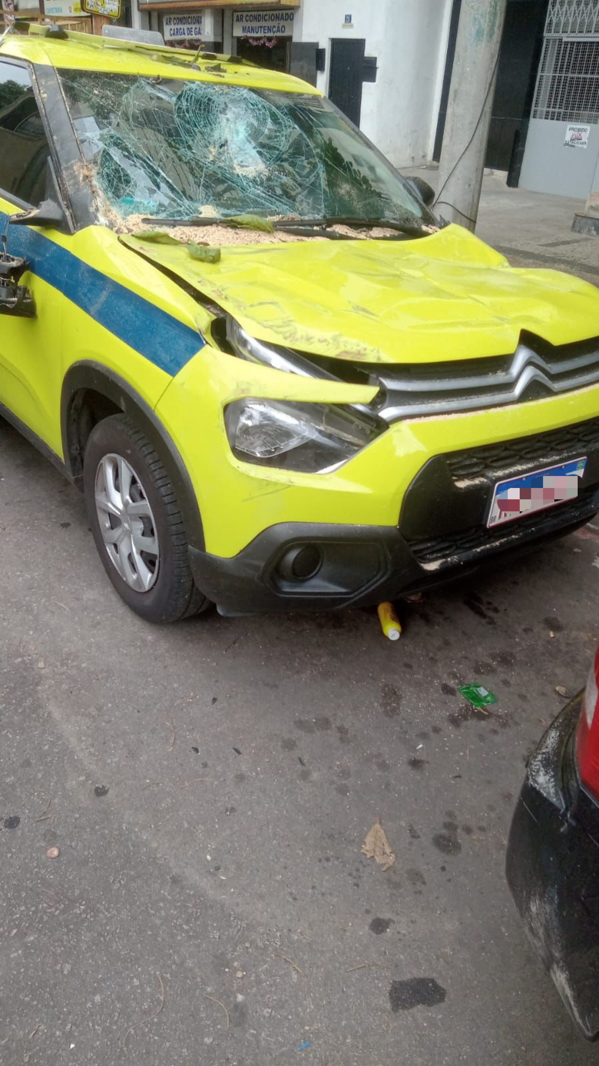 Árvore caiu em cima de táxi e deixou veículo destruído - Reprodução