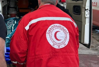 Diretor da OMS lamenta bombardeios contra grupo humanitário em Gaza