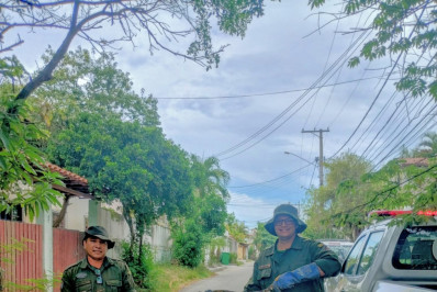 Jiboia é resgatada em Piratininga pela guarda ambiental