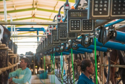 Deflação no IPP de novembro interrompe três meses de altas de preços