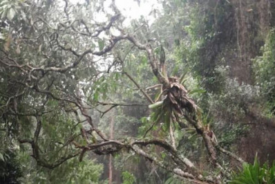 Chuvas atingem Petrópolis na manhã desta quinta-feira; ponto de apoio foi mobilizado no Vale do Cuiabá