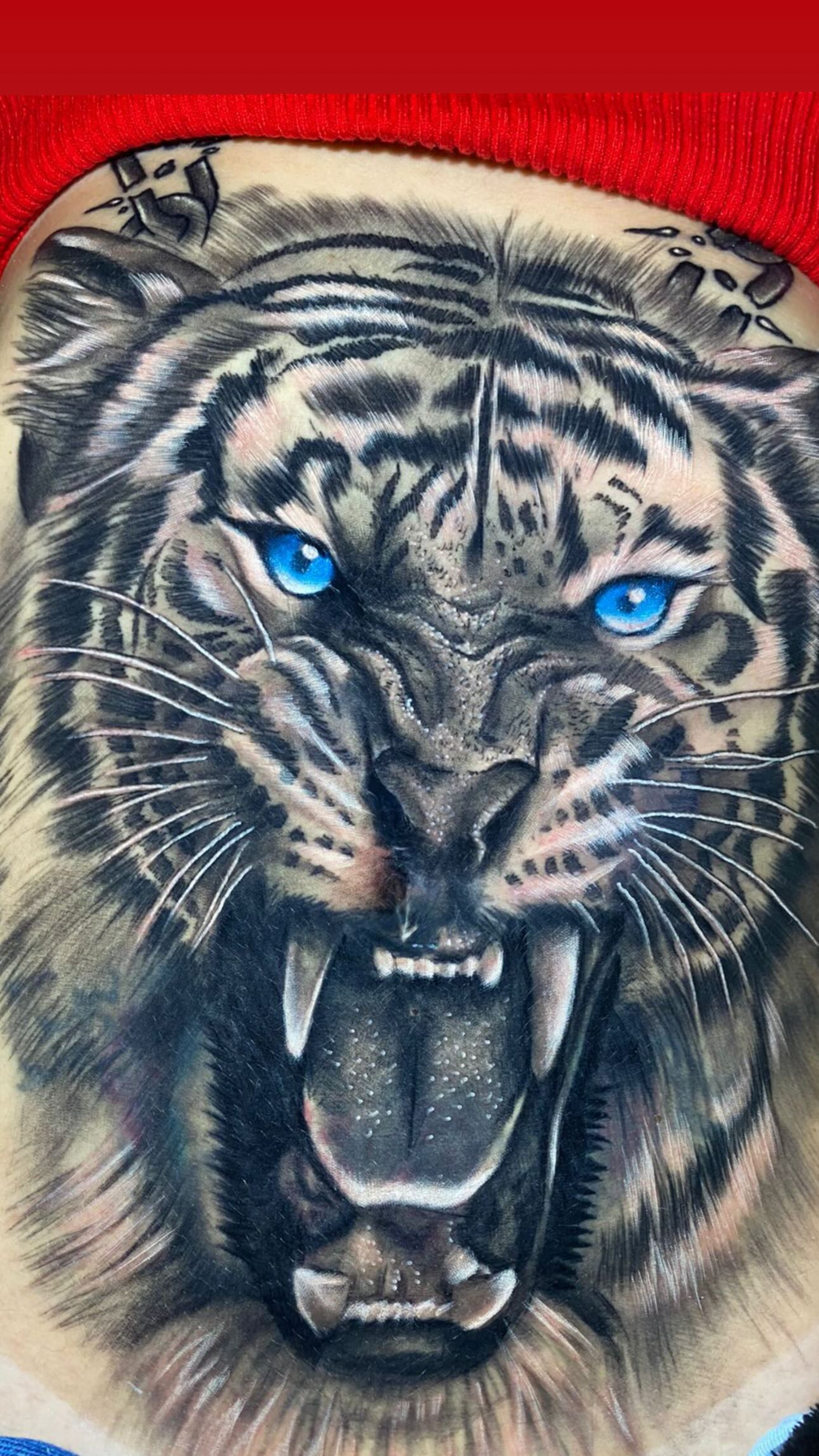 Andressa Urach surpreende ao cobrir barriga e pernas com tatuagens - Reprodução / Instagram 