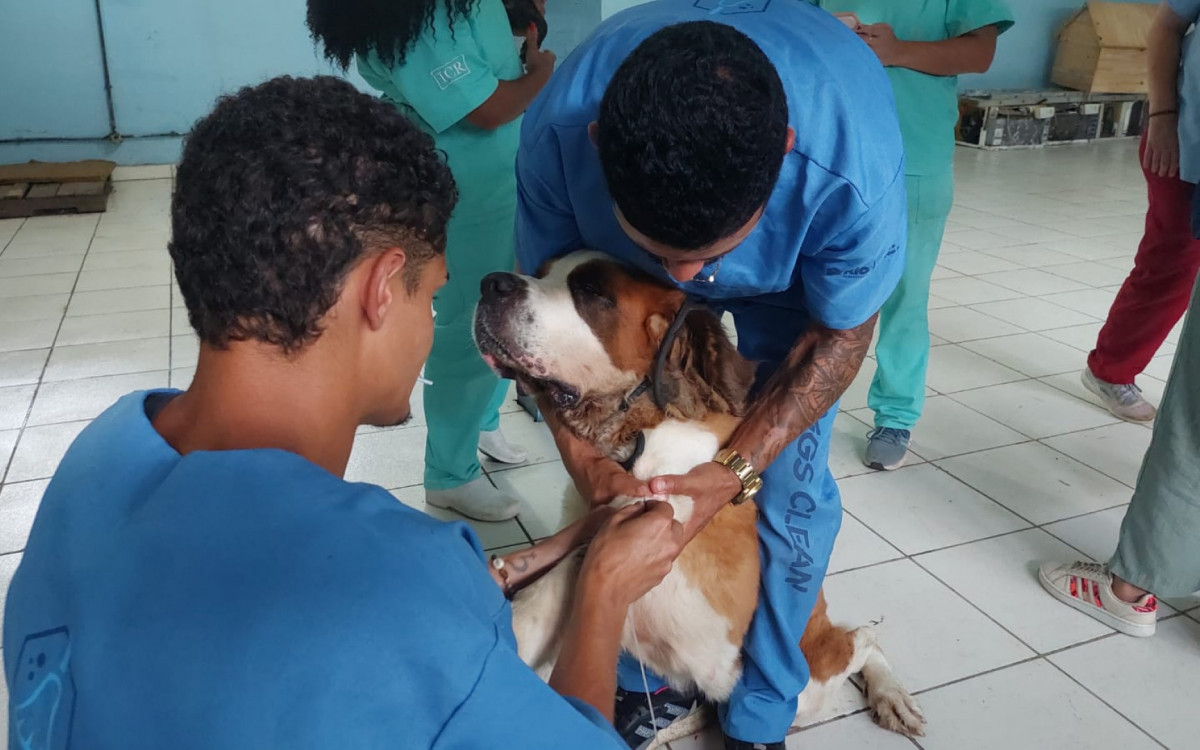 Seis animais foram resgatados da casa de Alba Samuraia Dias Santos, na Pavuna, nesta sexta-feira (5)
