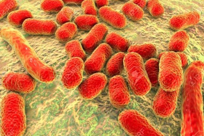 Cientistas desenvolvem novo antibiótico que pode matar bactéria resistente