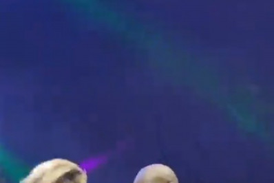 Vídeo: Carla Perez dança com É o Tchan em Salvador