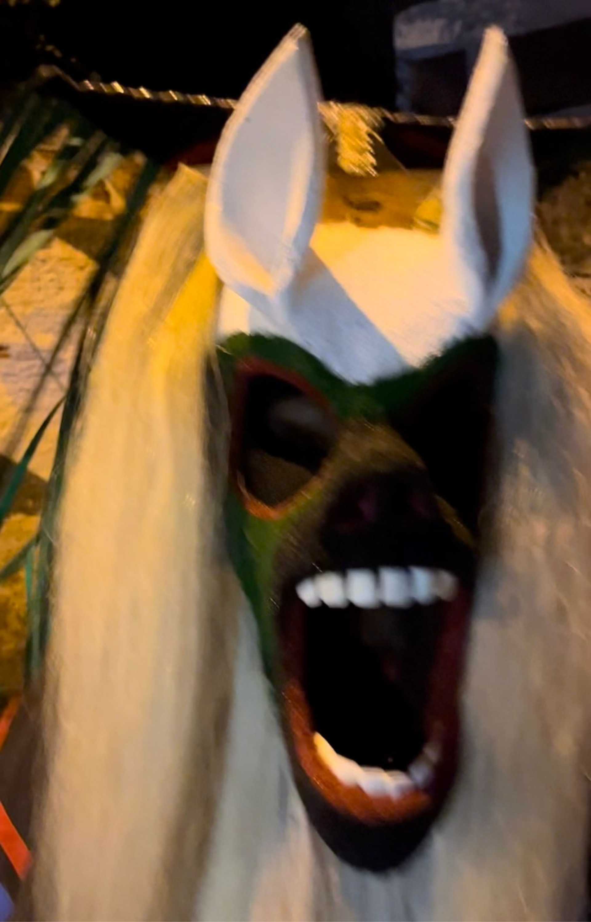 Até adulto costuma ter medo quando o palhaço aparece